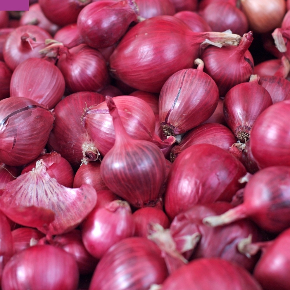 Fresh Onions
