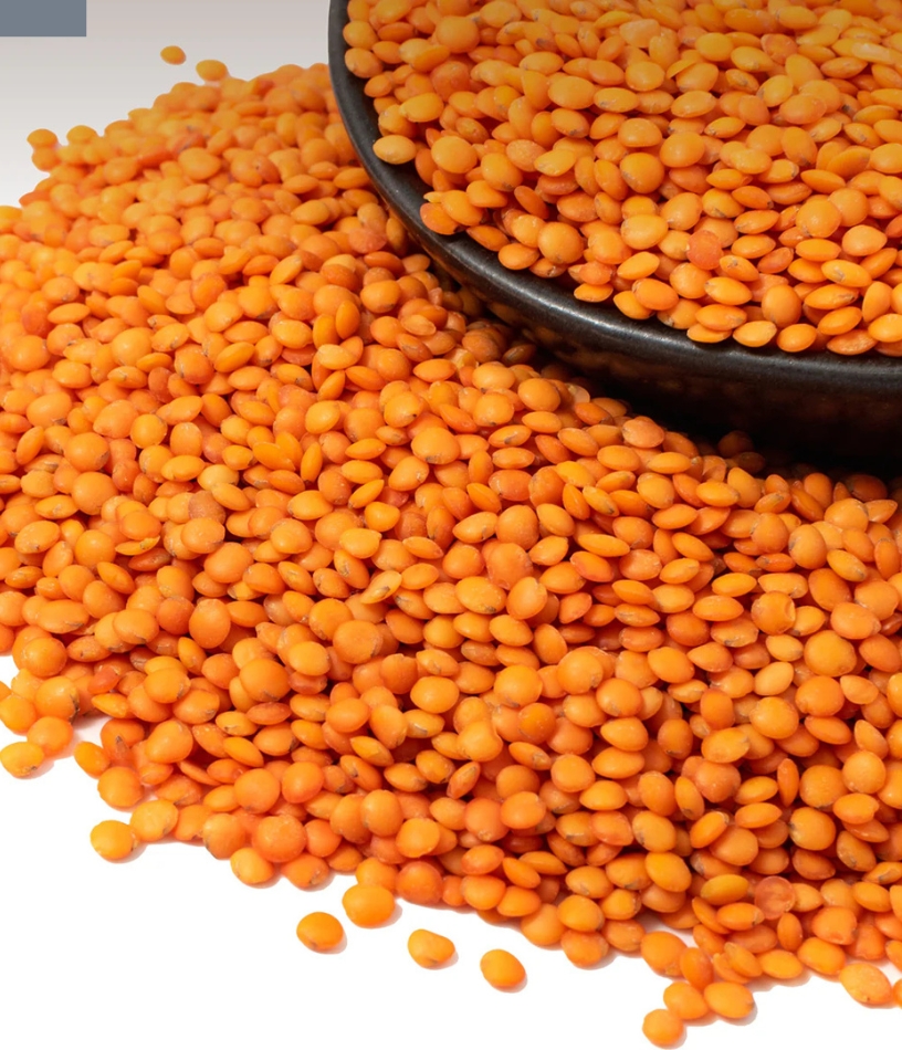 Massor Dal