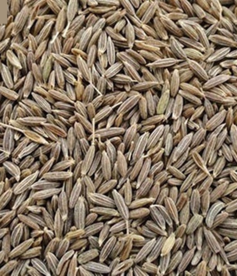Cumin Seeds