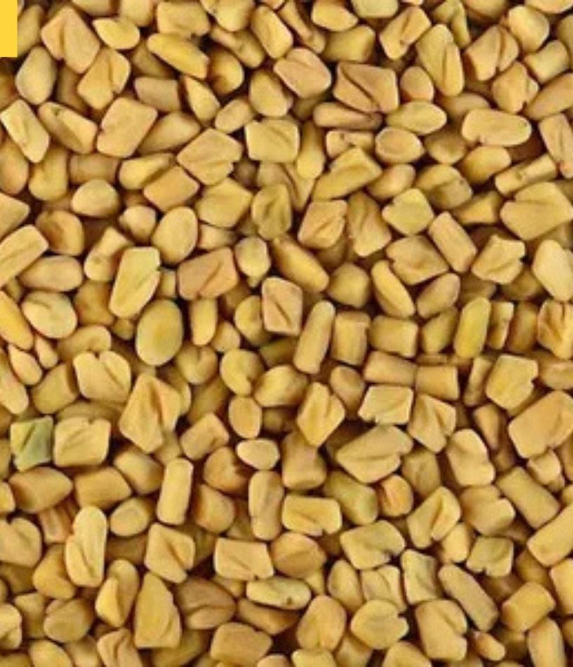 Fenugreek Seeds 