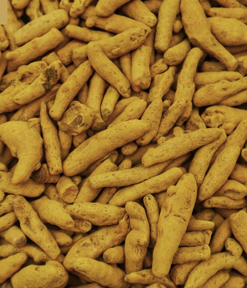 Turmeric