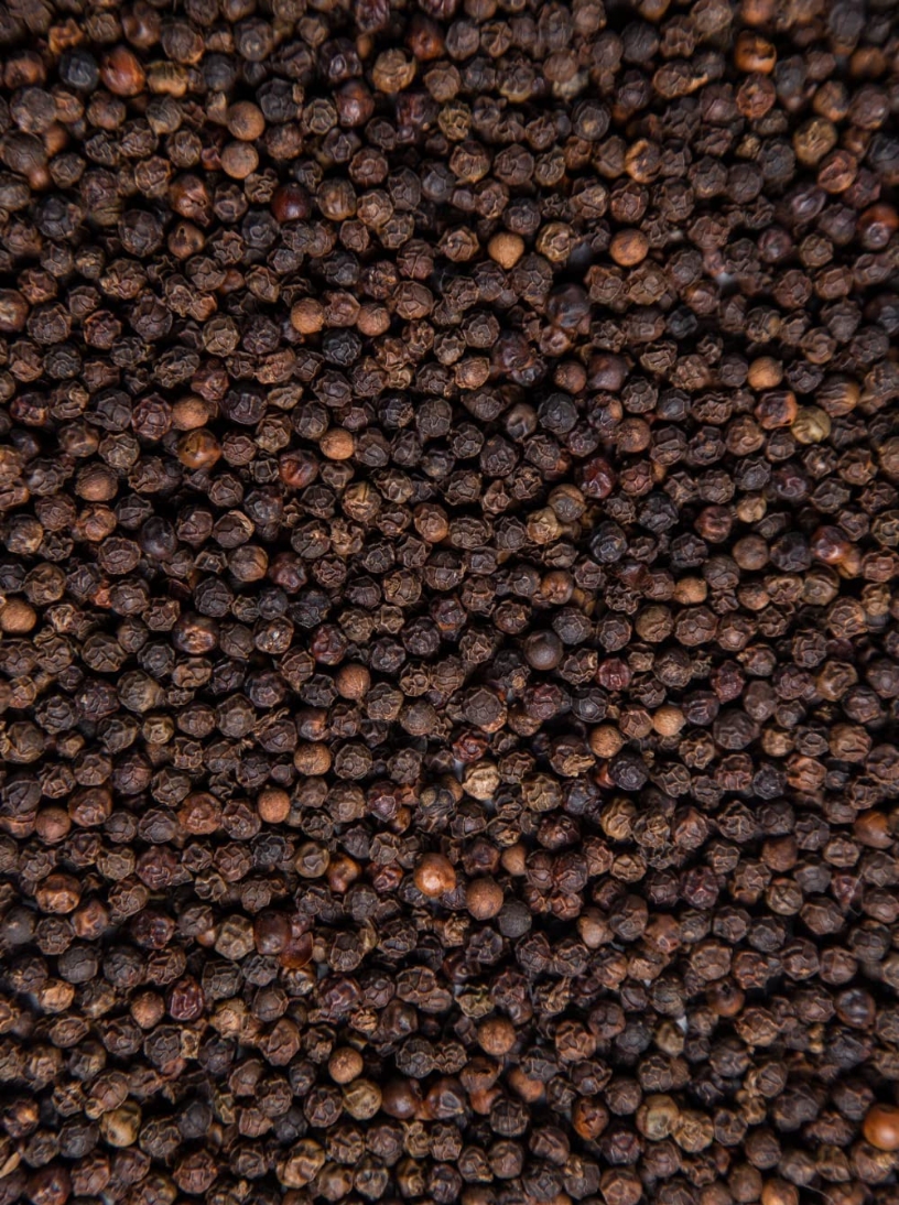 Black Pepper Corn