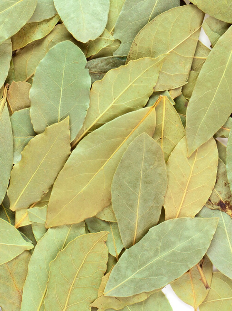 Bay leaf