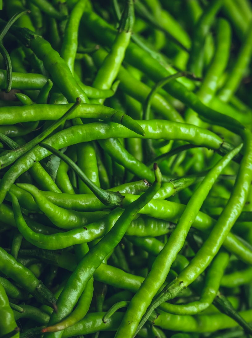  Green Chilli - G4 