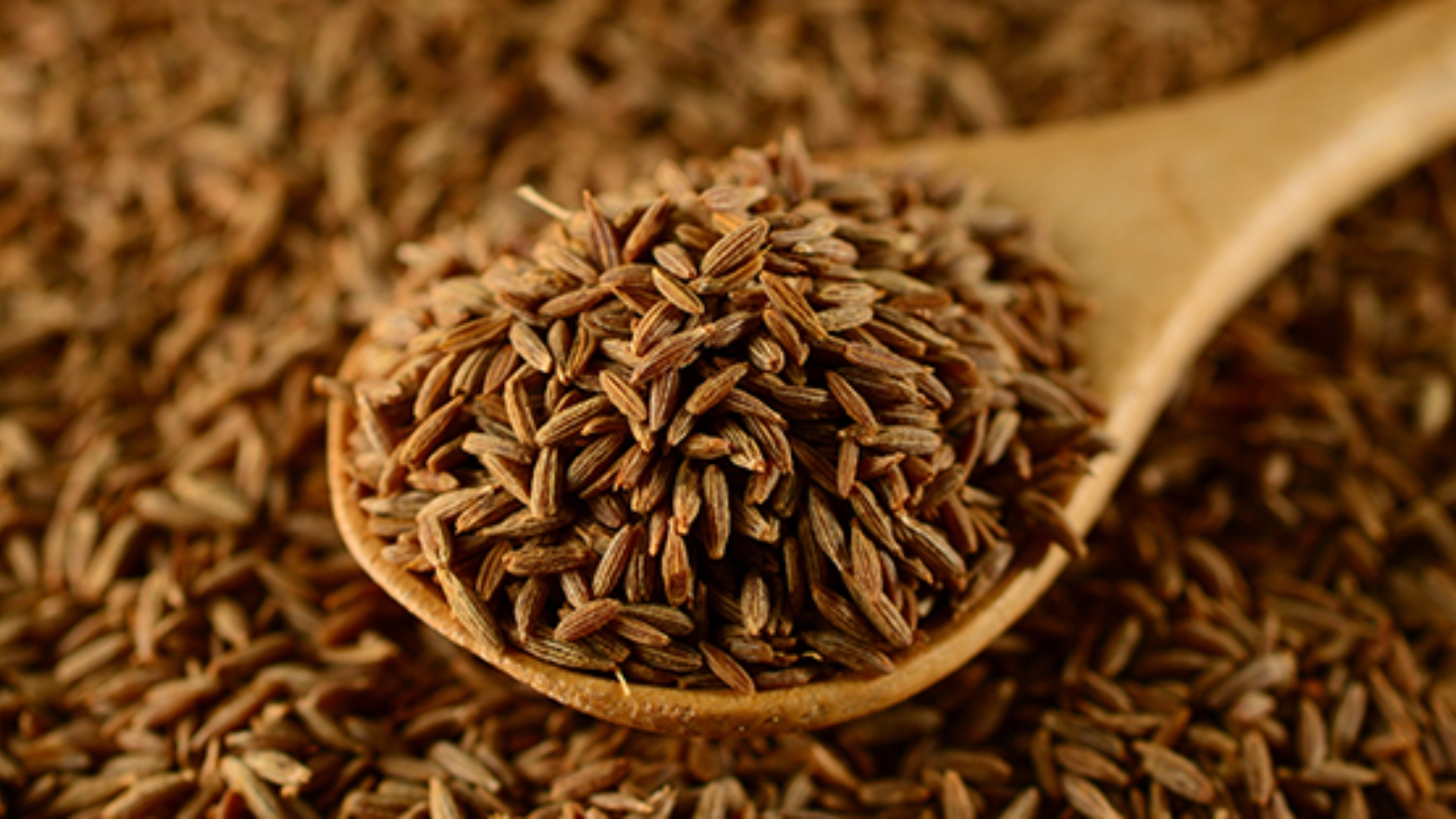  Cumin Seeds