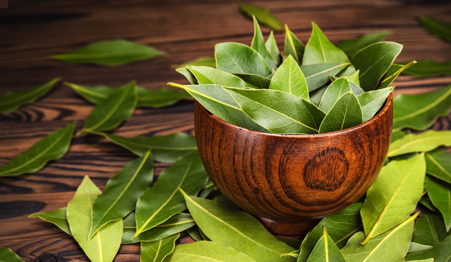 Bay Leaf