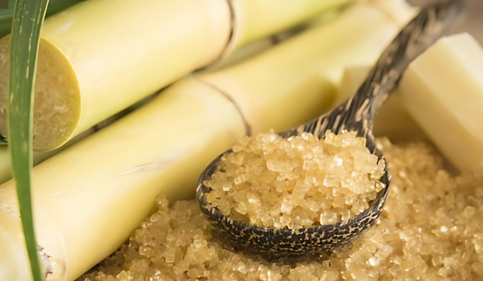 Cane Sugar